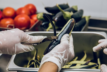 Manipulação Segura de Alimentos em Estabelecimentos Comerciais e Escolas