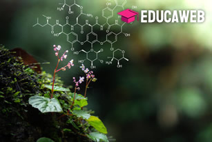 Curso Básico de Biologia Curso Básico de Biologia