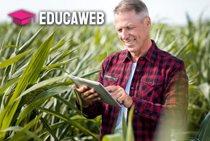 Curso de Agronegócio