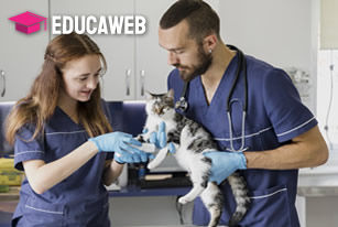 Curso de Auxiliar de Veterinário e Pet Shop