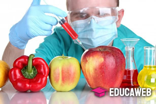Curso de Bromatologia - Ciência dos alimentos