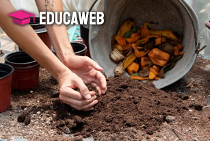 Curso de Compostagem de Lixo Curso de Compostagem de Lixo