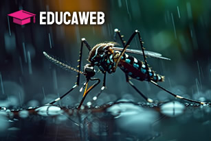 Curso de Doenças Tropicais por Vetores