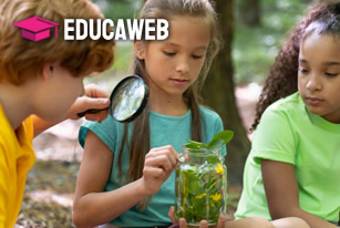 Curso de Educação Ambiental