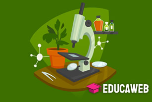 Curso de Farmacobotânica