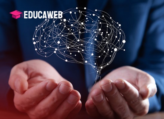 Curso de Neurociência - Fundamentos e Princípios
