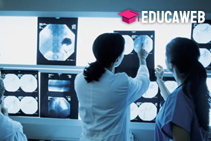 Curso de Radiologia Digital e Qualidade da Imagem